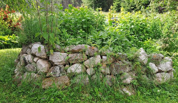 Vortrag: Vielfalt schafft Vielfalt