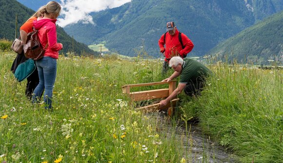 Escursione: la muta di Malles
