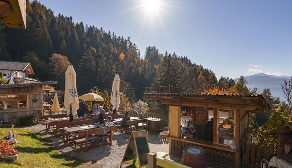 Escursione guidata - "Törggelen"