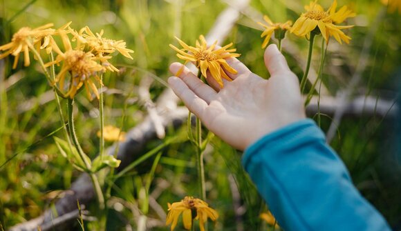 Fragiles Gleichgewicht.