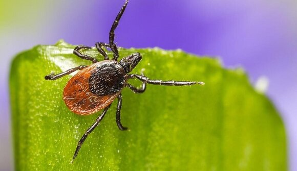 Cambiamento climatico e biodiversità