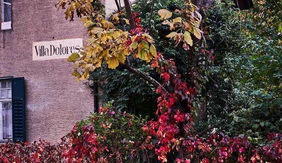 Visita guidata: Merano sconosciuta