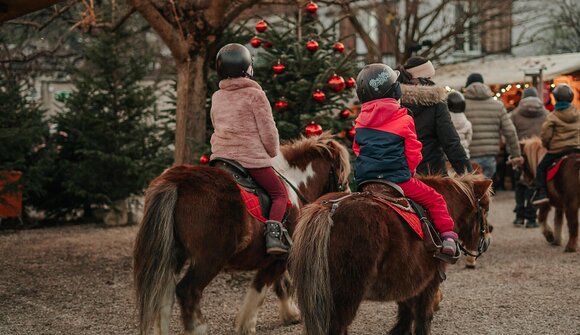 Sterntaler Weihnachtsmarkt - Ponyreiten
