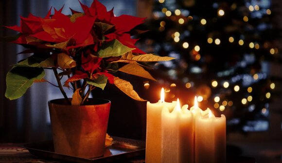 Adventskonzert "Wieder huam"