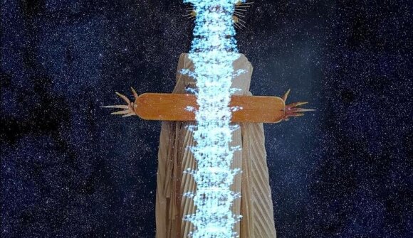 Vitalis - Navitas - Connexio