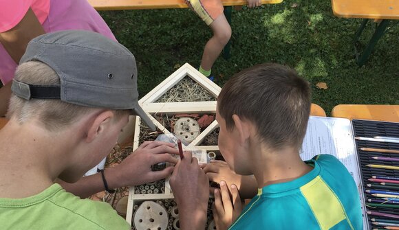 We are building an Insect Hotel