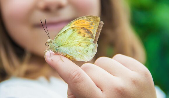 Photography Summer Camp for Kids