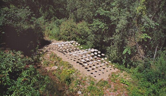 LanaArt - Local inspection 2026