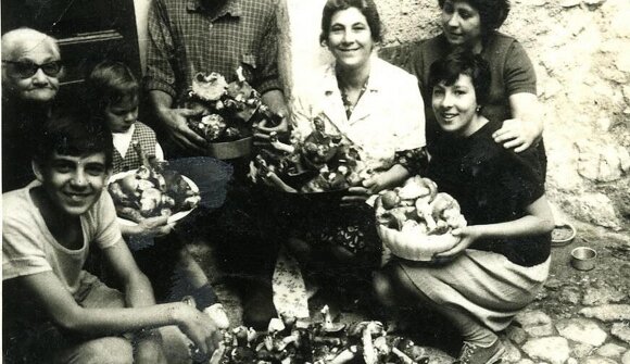 Vortrag : Mensch und Pilze