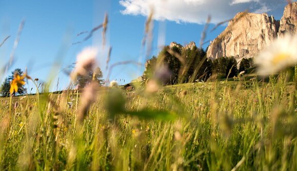 Una domenica in malga