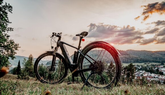 E-MTB facile giro panoramico