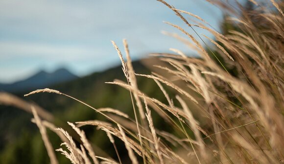 Breathing & Movement - Focus: Arriving