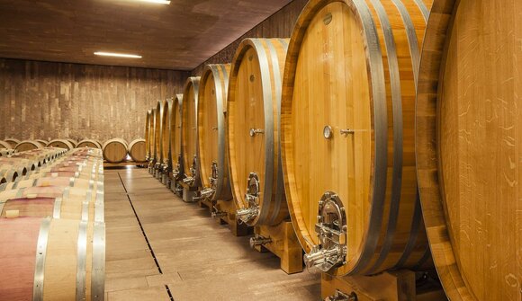 Guided tour of Terlano Winery