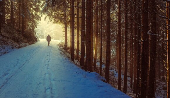 Camminiamo insieme verso il 2026