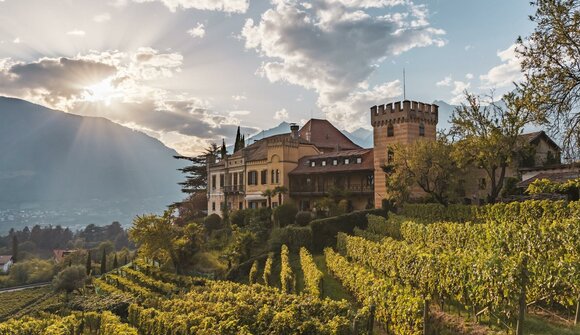 Un pomeriggio all’insegna del vino