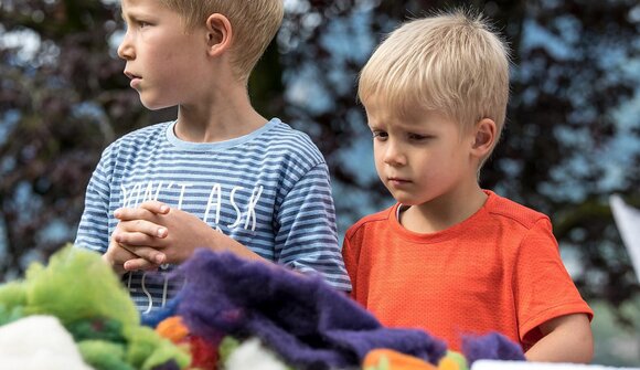 Programma famiglie: Casetta uccellini