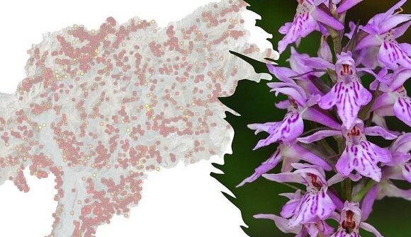 Blumen, Berge, Barrieren