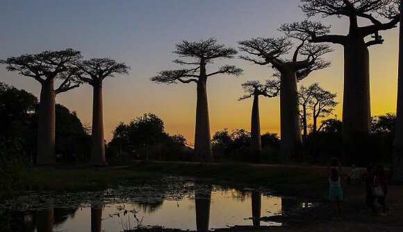 Madagascar: Nature, Culture, Landscape