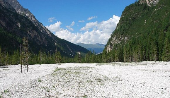 A Journey Through South Tyrol's Habitats