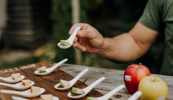 L´affascinante mondo della mela
