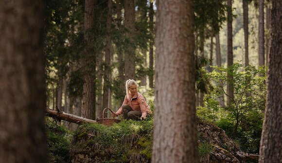 Mykologische Wanderung – ATIRA