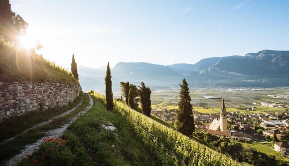 Hiking tour: Termeno - Magrè