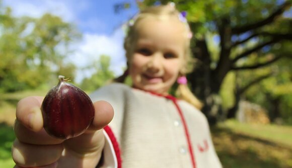 Adventure hike for kids