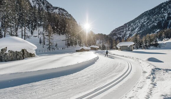 Cross-Country Skiing Taster Course