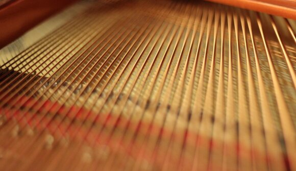 Piano x Cacao – What really matters?