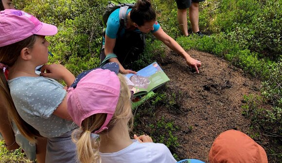 Kindersommer: Auf Entdeckungstour