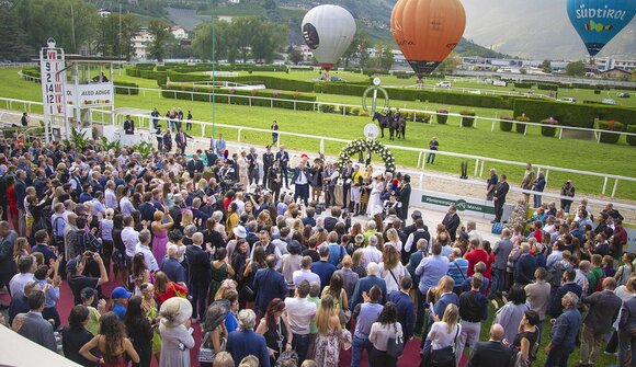 Racing of the Haflinger horses
