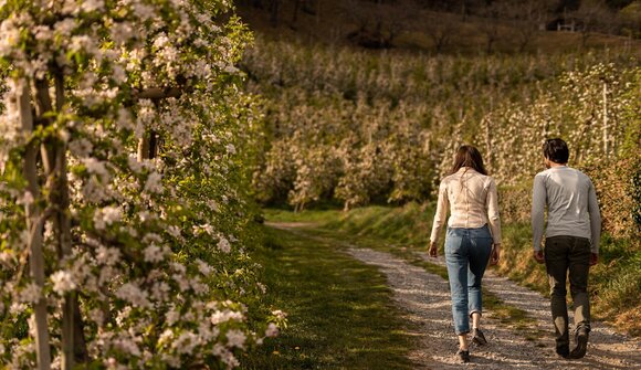 Mit der Bäuerin durch die Obstwiese