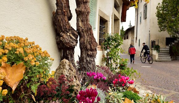 Herbstfest bei der Alten Rebe