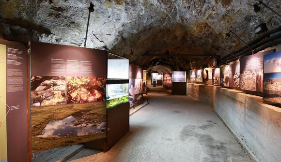 Internationaler Museumstag - Moos i.P