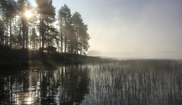 Ruhepol im Advent mit Jin Shin Jyutsu