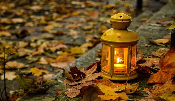 Märchen, Mythen, Natur – Seminar