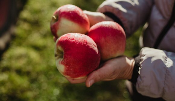 Visita cooperativa frutticoltori