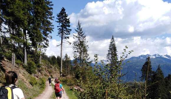 Geführte Wanderung: Zum Trudner Horn