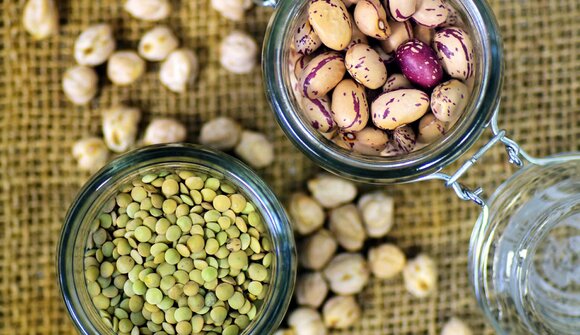 Powerhouse pulses – a cooking workshop