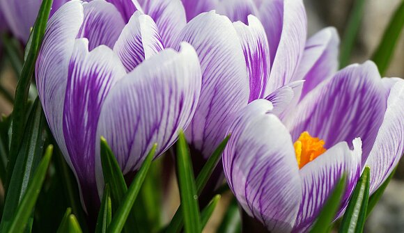 Naturzeit für die ganze Familie