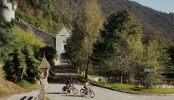 Guided e-bike tour: bike & cheese