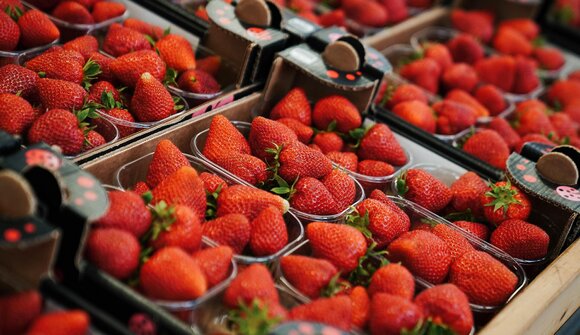 From field to shelf - Martell strawberry