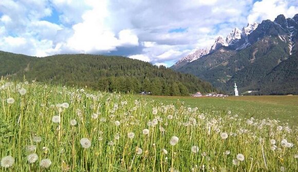 Lanz Active - View of Dobbiaco
