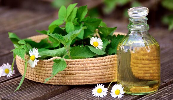 Le piante officinali di Casa Raphael