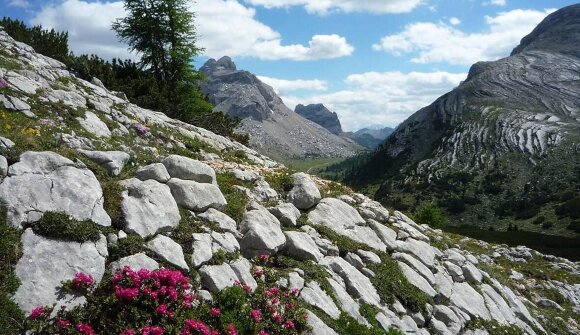 Lanz Active - "le leggende dolomitiche”