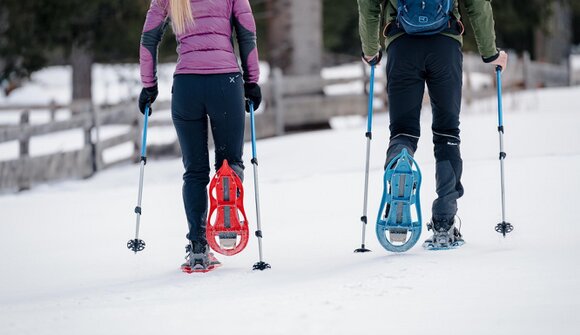 Schneeschuhwanderung: Staller Sattel