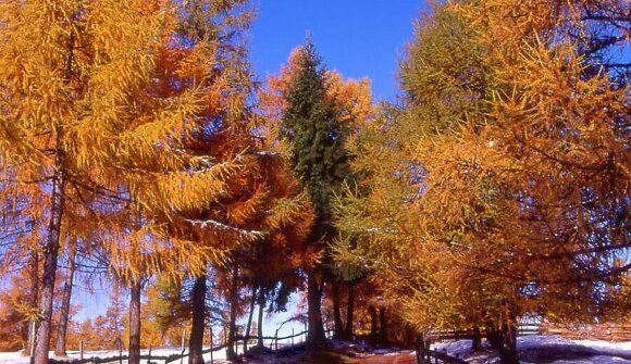 Guided hike with Johannes Ruedl