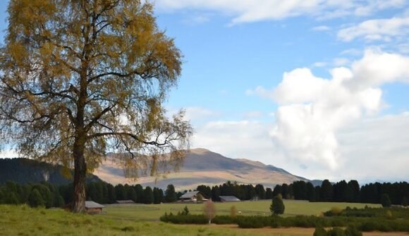 Bus navetta al Alpe di Villandro