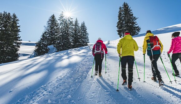 Winterhike below the Sassolungo