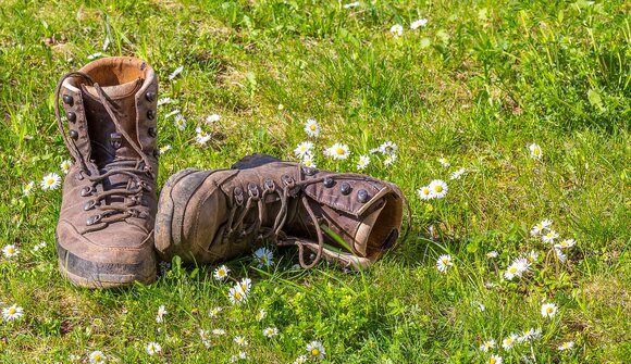 Excursion: La natura che guarisce